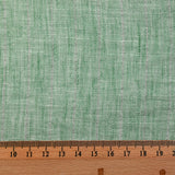 Chambray rayure Lurex Manon fond vert