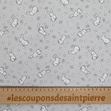Piqué de coton imprimé jeune lapin fond gris