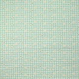 Fondo verde pastel bordado de algodón Vichy Seersucker