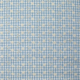 Cotton Vichy Seersucker Fondo de cielo azul bordado