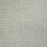 Double Gaze iridescent silver gray background