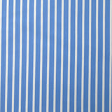 Coton tissé-teint Rudy rayé 3 mm blanc fond bleu ciel