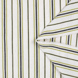 Coton élasthanne tissé teint rayure verte et bleue fond beige chiné