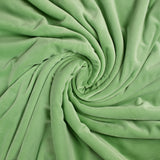 Soft velvet jersey light green