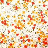 Popeline de coton imprimée fleurs étoilées orange et jaune fond blanc