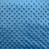 Polar Minky Blue Relief