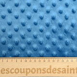 Polar Minky Blue Relief