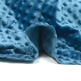 Polar Minky Blue Relief