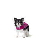 Patron Burda n°6049 : Manteau pour chien