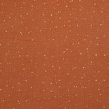 Double gaze écureuil confettis doré